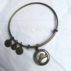 Alex and Ani 2015 'Martha's Vineyard'' Charm Bangle‎ Bracelet/Chrome